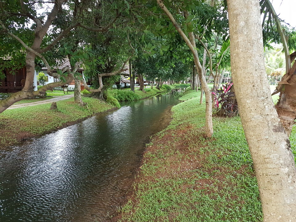 Photo of Best Luxurious Resort in Kerala,Kumarakom Lake Resort[price-24,000/nyt approx] #luxurygetaway 20/27 by AnaZir Vlog