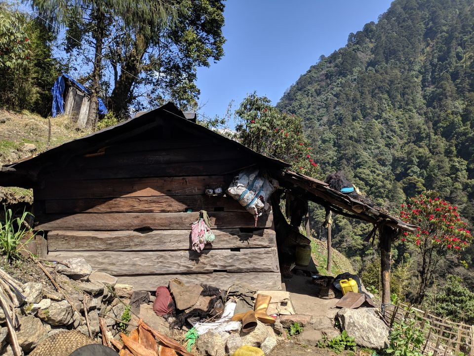 Photo of Exploring North Sikkim by Sibasish Sahoo