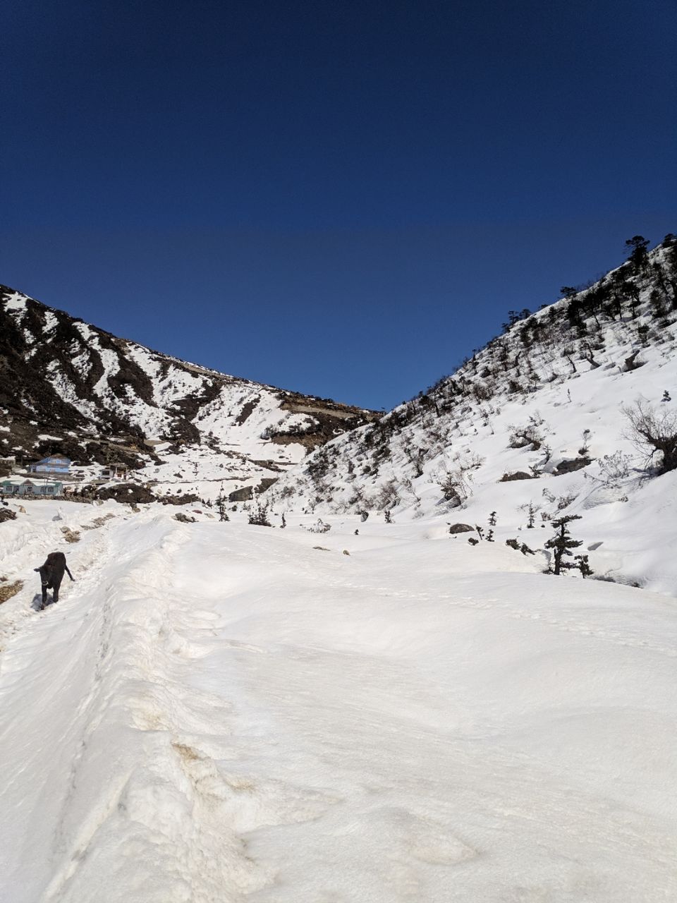 Photo of Exploring North Sikkim by Sibasish Sahoo