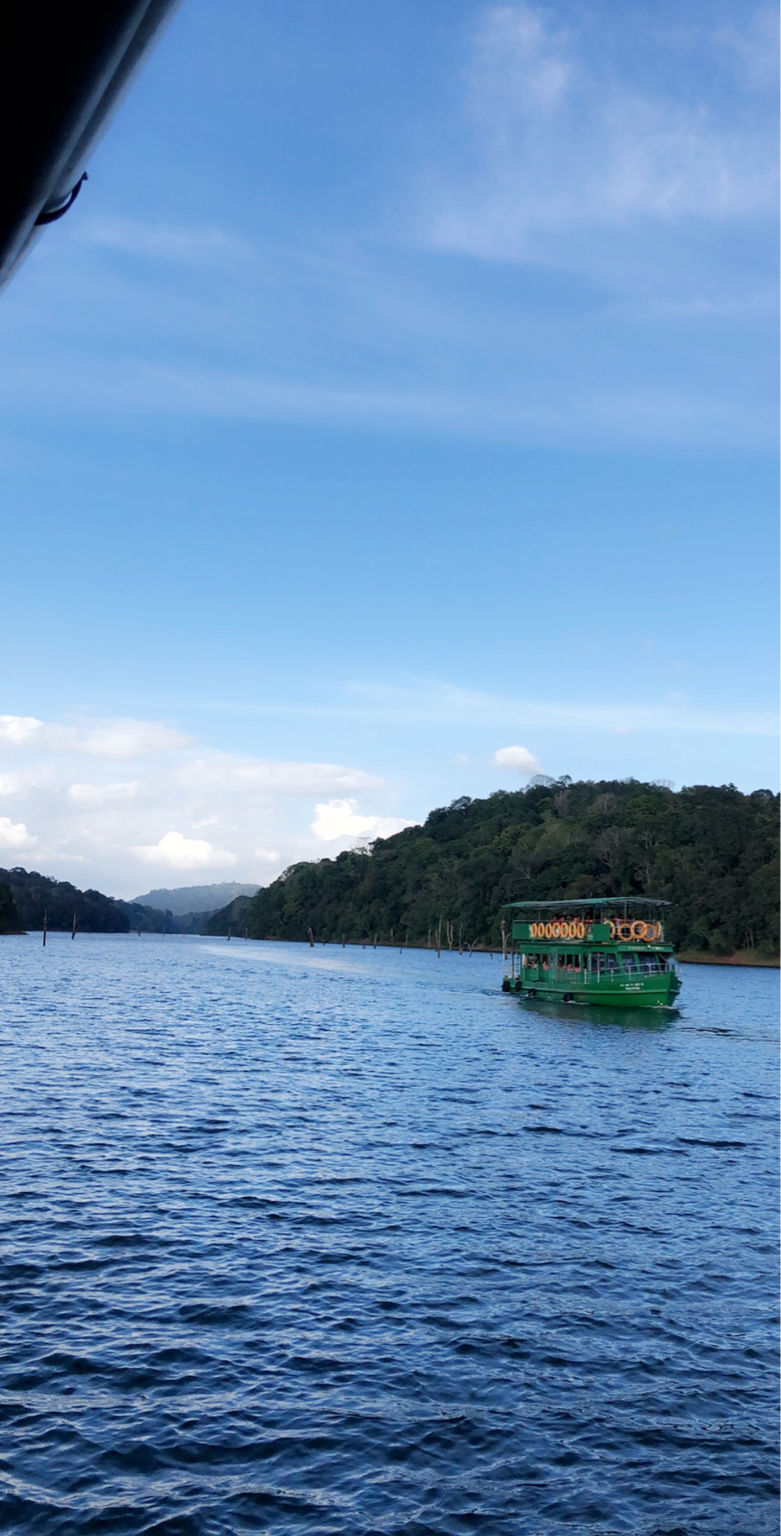 Photo of Thekkady, Kumily, Kerala, India by harry