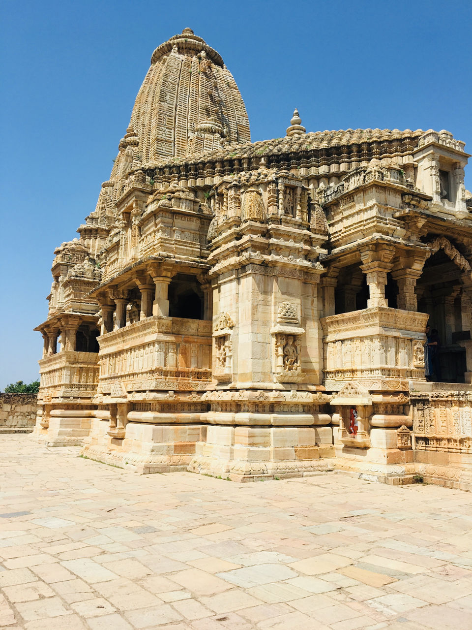 Photo of Rani Padmavati urf Padmini by Mohak Khatuwala
