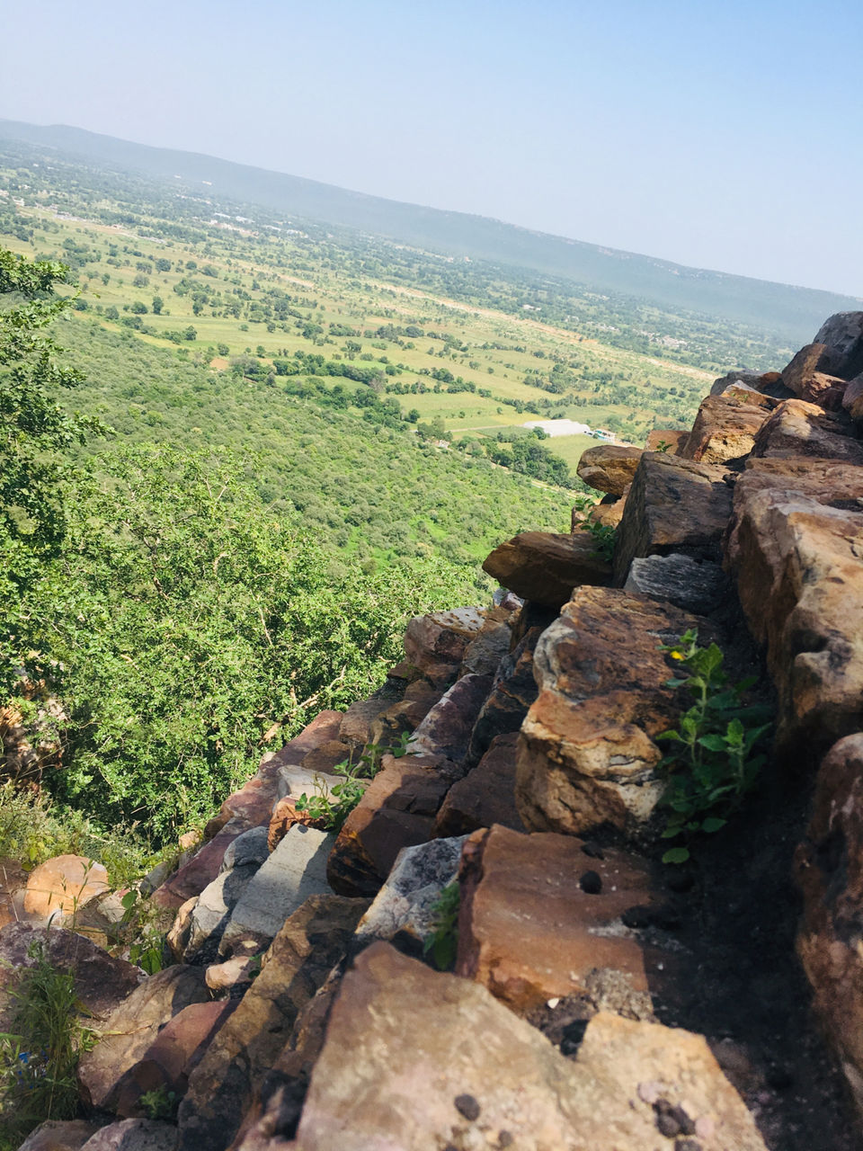 Photo of Rani Padmavati urf Padmini by Mohak Khatuwala