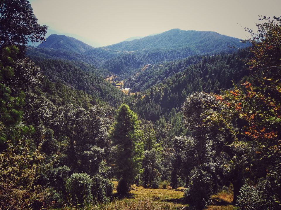 Photo of Narkanda, Himachal Pradesh, India by Arnav Sharma