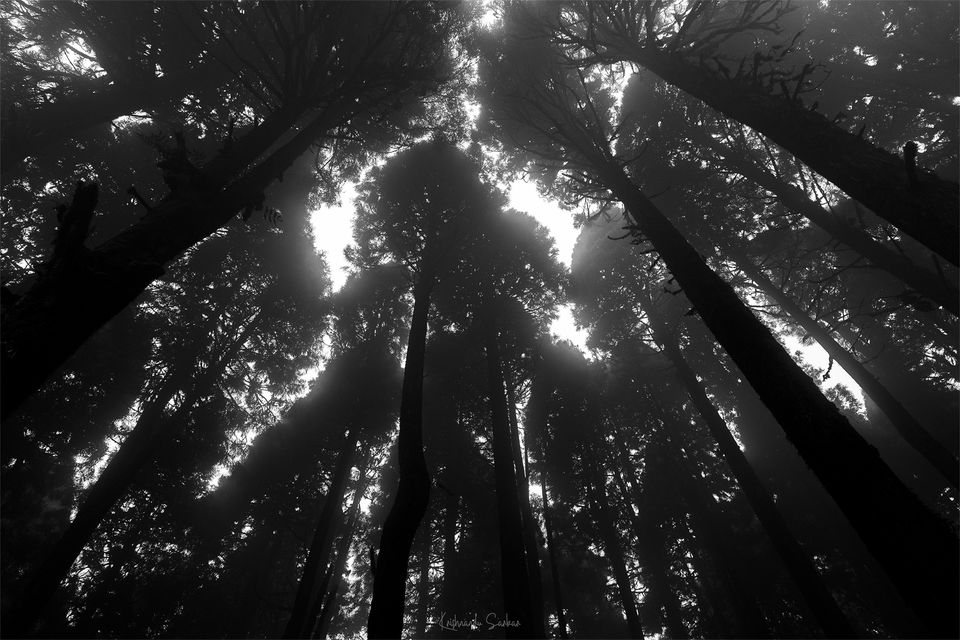 Photo of Trip To Lepchajagat - The Mystic Hamlet - Travel With Krish by Krishnandu Sarkar