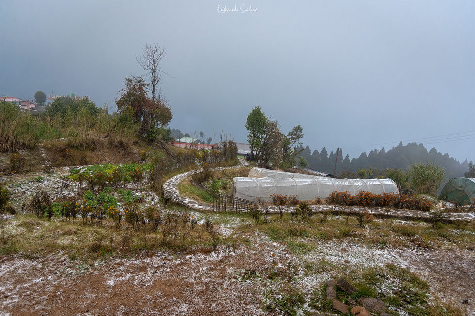 Photo of Chatakpur - The Snowy Hamlet - Travel With Krish by Krishnandu Sarkar