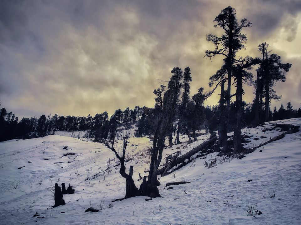 Photo of Kedarkantha - poore ishq ki poori kahaani by naman jain
