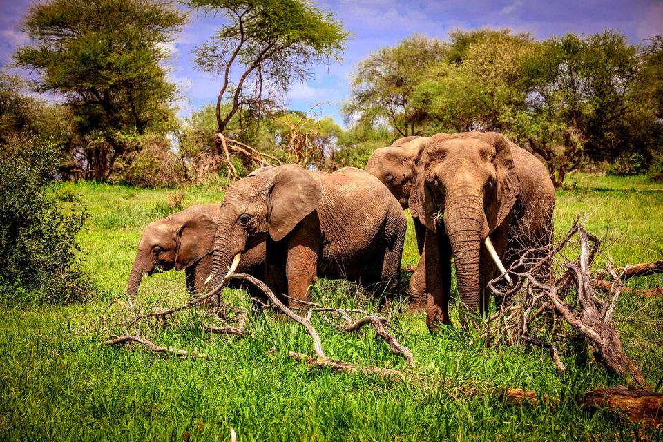 Photo of Traveling to the World of Wildlife Trails and Natural Lakes in Middle of summers 2/8 by Kanika Saxena