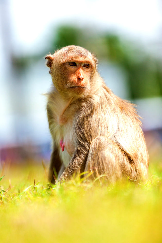 Photo of Traveling to the World of Wildlife Trails and Natural Lakes in Middle of summers 4/8 by Kanika Saxena