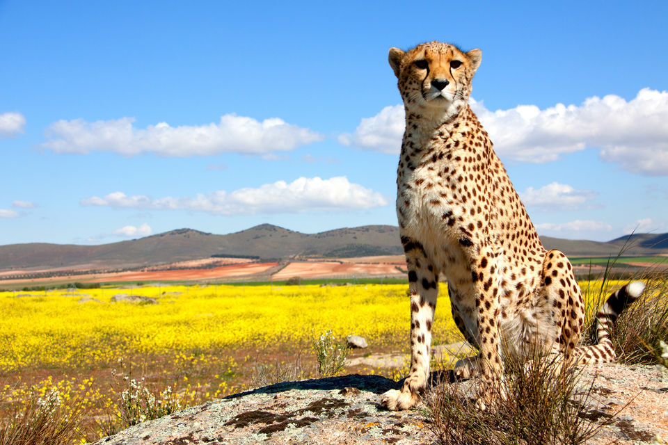 Photo of Traveling to the World of Wildlife Trails and Natural Lakes in Middle of summers 5/8 by Kanika Saxena