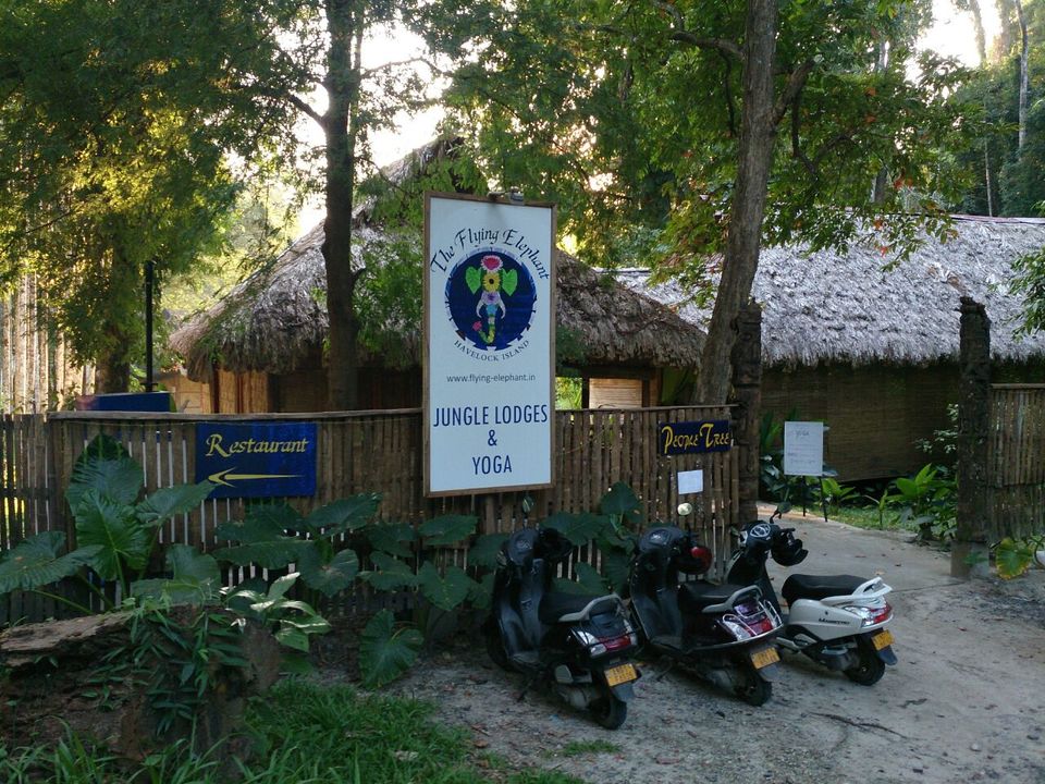 Photo of Being Havelocked by Padma Madipalli