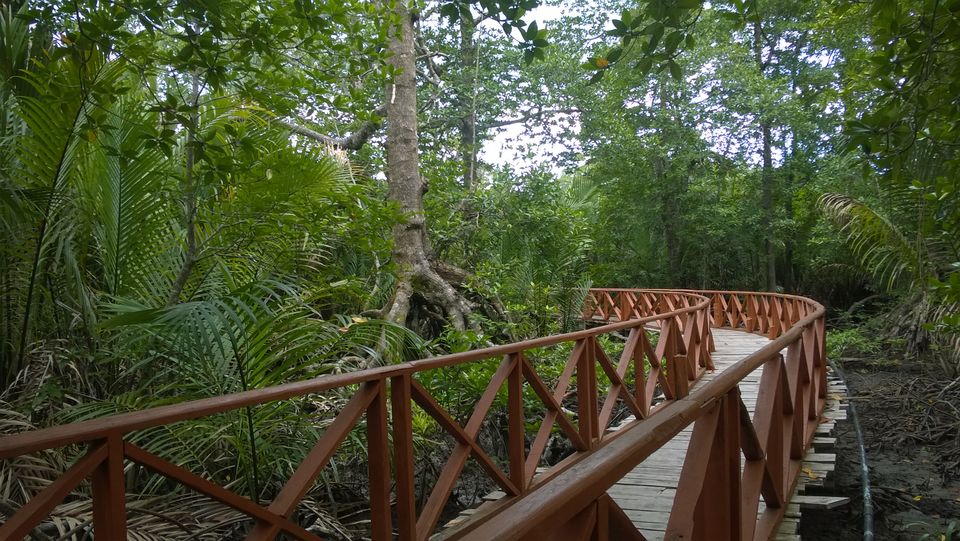 Photo of Webi: A Journey to the Hidden Village in Andamans by Padma Madipalli