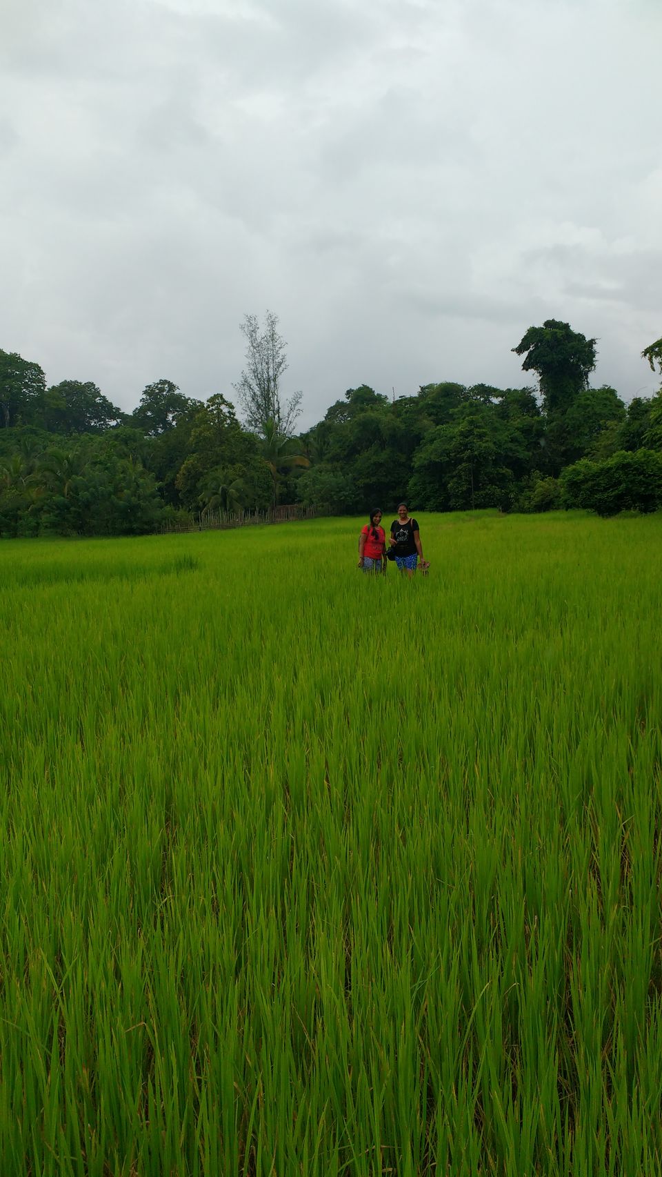 Photo of Duo Travel 10/12 by Padma Madipalli