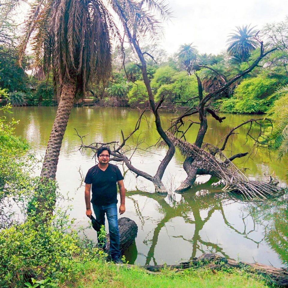 Photo of Day @ Bird Watching !! Bharatpur Bird Sanctuary !! Keoladeo National Park ! by Ankur Chugh