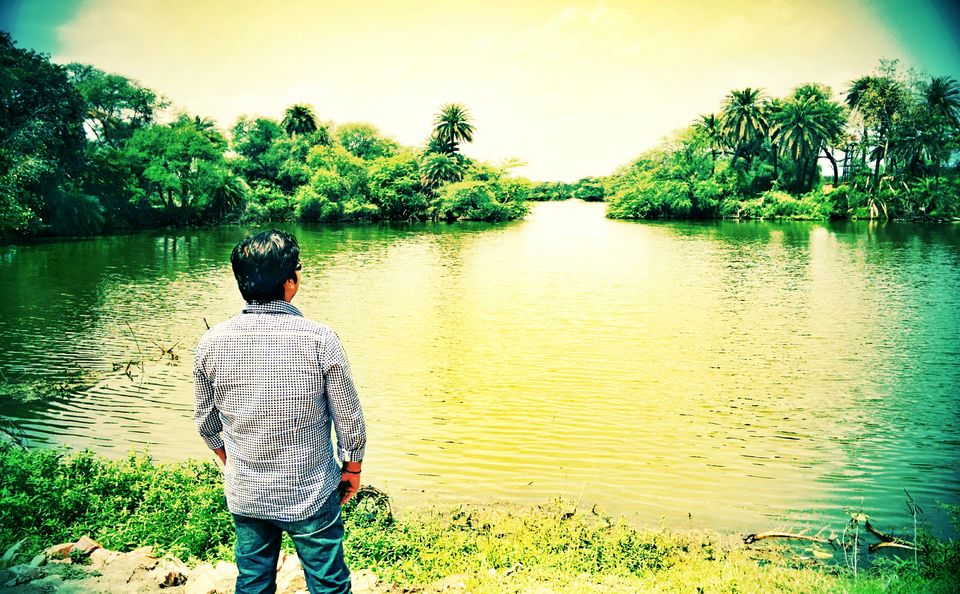 Photo of Day @ Bird Watching !! Bharatpur Bird Sanctuary !! Keoladeo National Park ! by Ankur Chugh