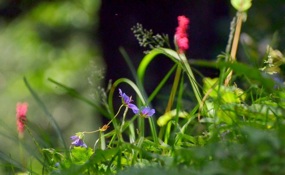 Photo of Where magic lives... 3/10 by Priyambada Nath