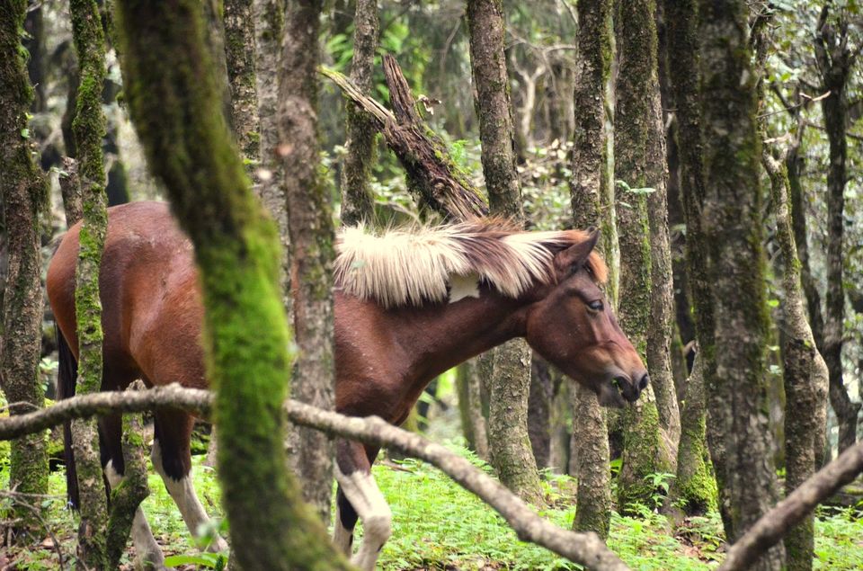 Photo of Where magic lives... 4/10 by Priyambada Nath