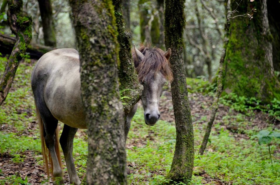 Photo of Where magic lives... 5/10 by Priyambada Nath