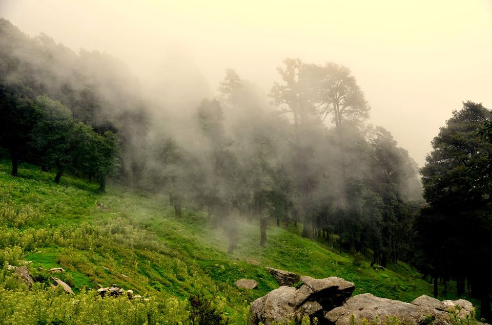 Photo of Where magic lives... 6/10 by Priyambada Nath