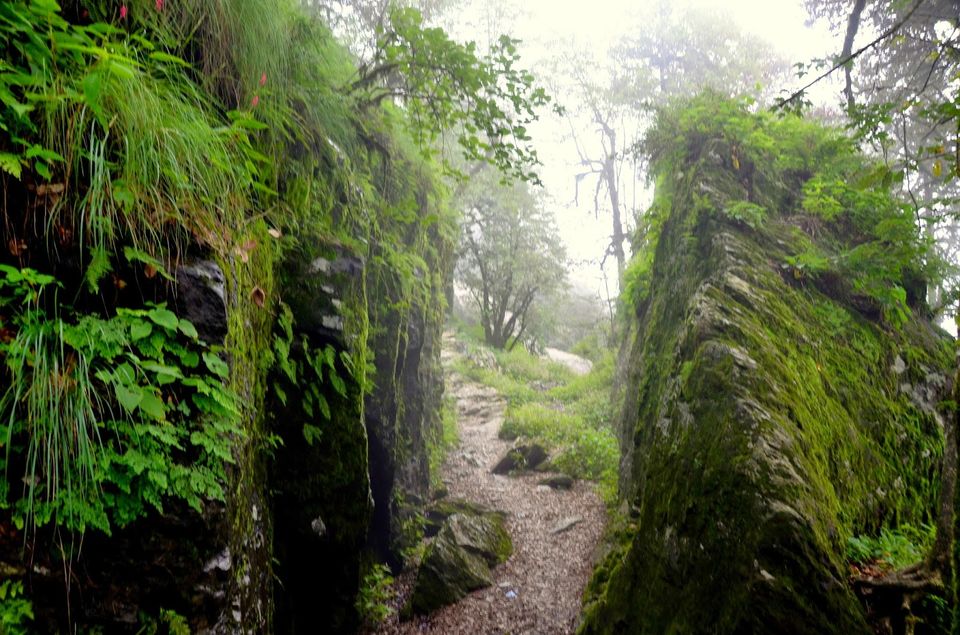 Photo of Where magic lives... 7/10 by Priyambada Nath