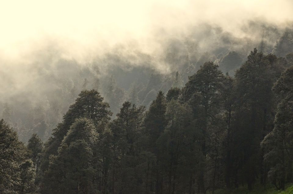 Photo of Where magic lives... 9/10 by Priyambada Nath
