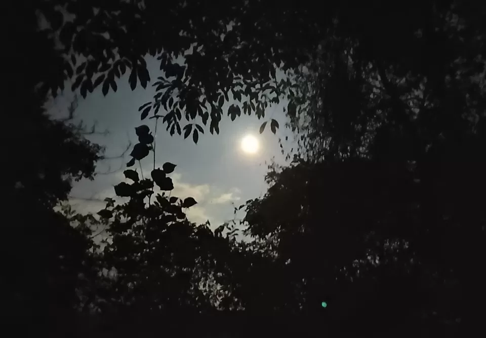 Photo of Krang Shuri Waterfall, Meghalaya, India by Eswar Ch