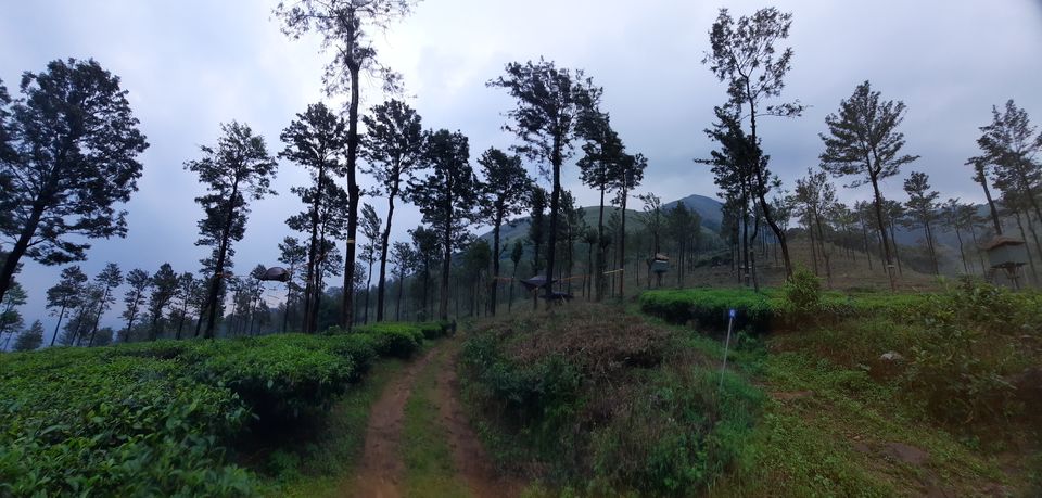 Photo of Stingray Tribe Chembra Peak, Meppadi, Kerala, India by Eswar Ch