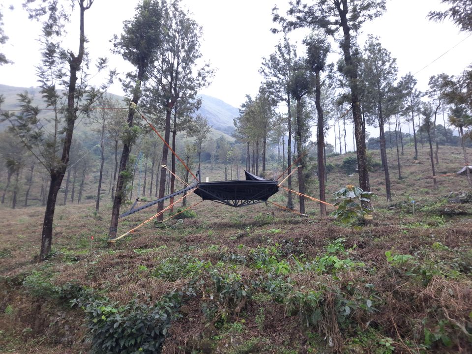 Photo of Stingray Tribe Chembra Peak, Meppadi, Kerala, India by Eswar Ch