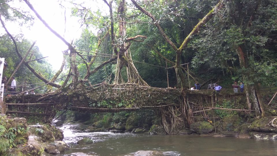 Photo of Magnificent Meghalaya in Magnificent Budget #northeastitinerary by Subham Agarwal