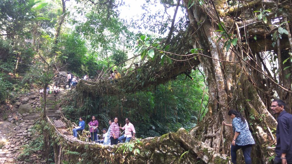 Photo of Magnificent Meghalaya in Magnificent Budget #northeastitinerary by Subham Agarwal
