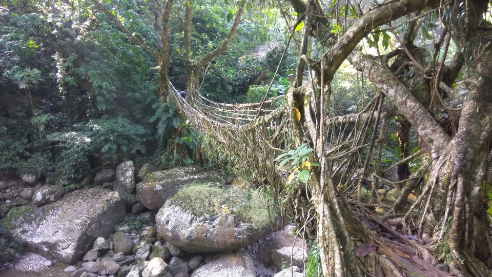 Photo of Magnificent Meghalaya in Magnificent Budget #northeastitinerary by Subham Agarwal