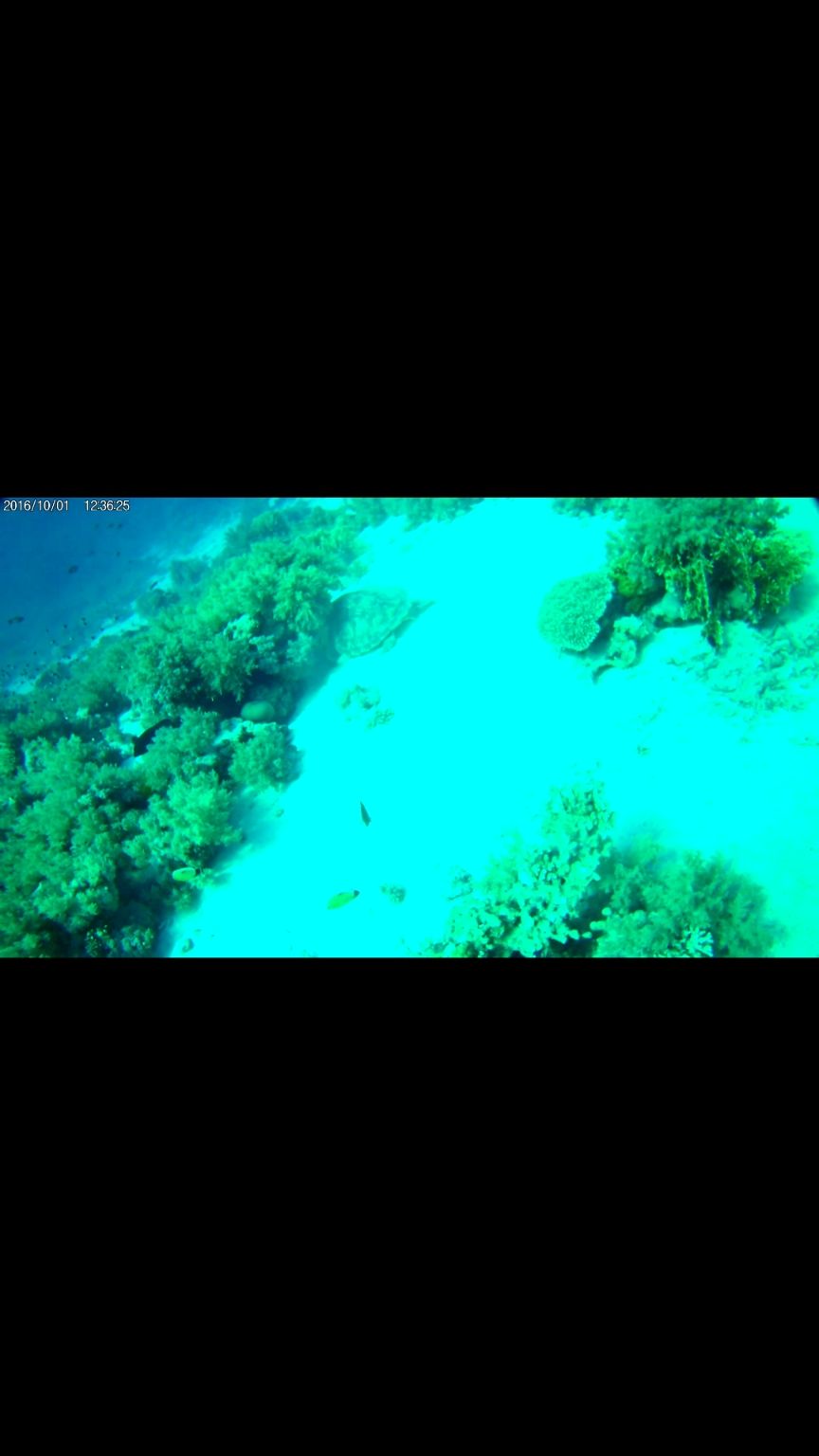 Photo of Sharm El-Sheikh, Qesm Sharm Ash Sheikh, Egypt by Gaurang Garg
