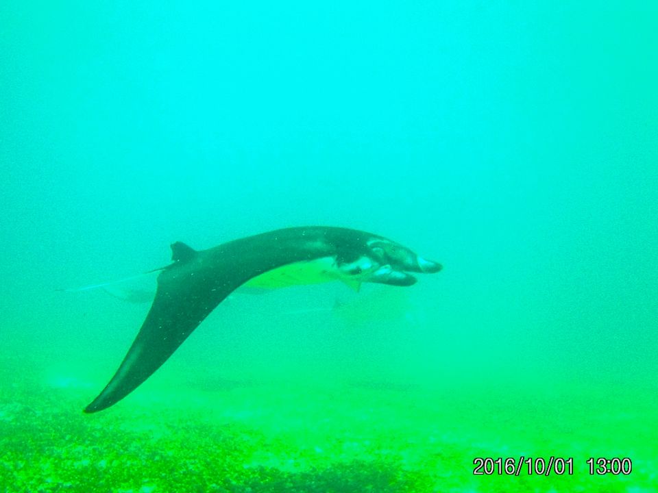 Photo of Labuan Bajo, West Manggarai Regency, East Nusa Tenggara, Indonesia by Gaurang Garg