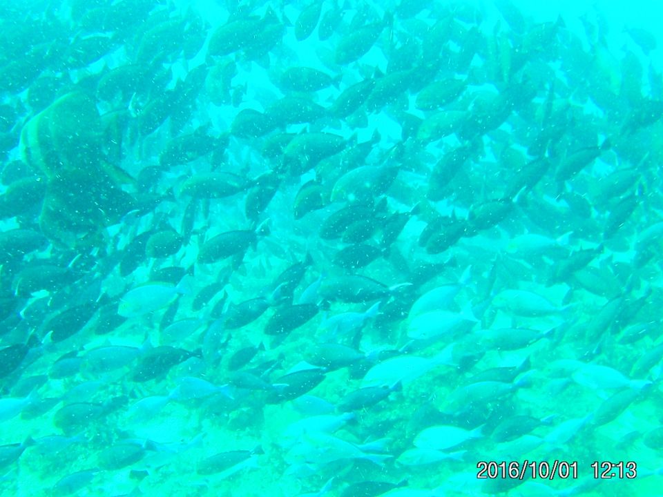 Photo of Labuan Bajo, West Manggarai Regency, East Nusa Tenggara, Indonesia by Gaurang Garg