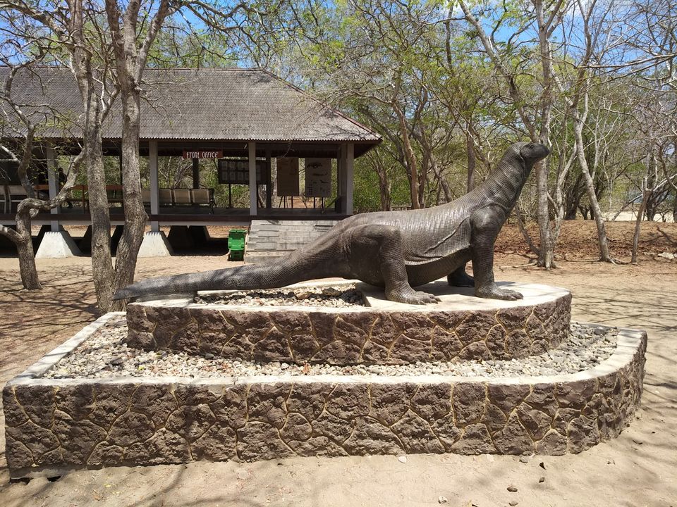 Photo of Komodo Island, Komodo, West Manggarai Regency, East Nusa Tenggara, Indonesia by Gaurang Garg
