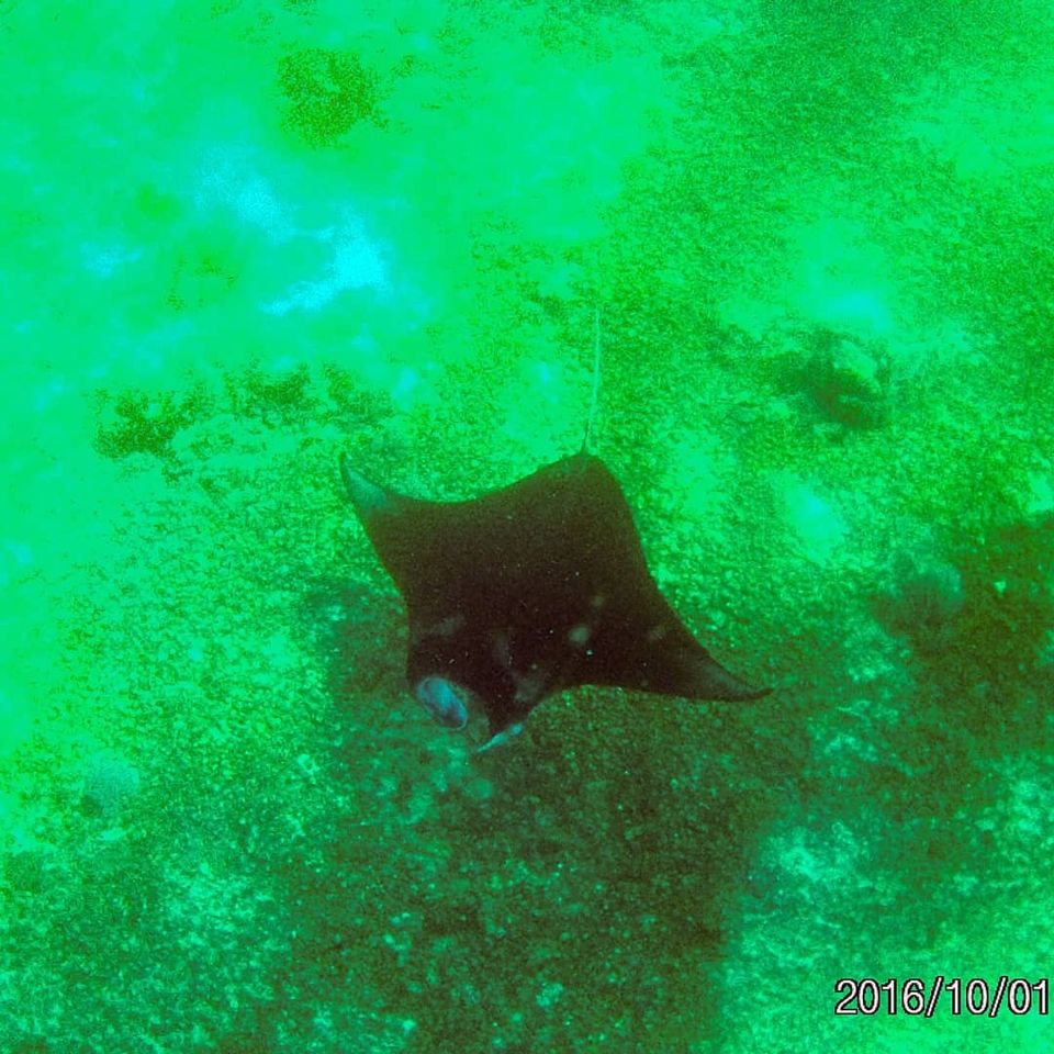 Photo of Komodo Island, Komodo, West Manggarai Regency, East Nusa Tenggara, Indonesia by Gaurang Garg