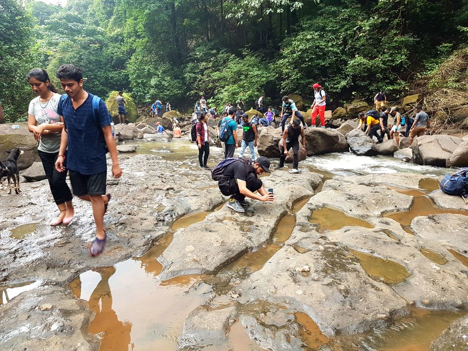 Photo of One day trip to Devkund waterfall with a short trek from Pune by tushar bhanushali