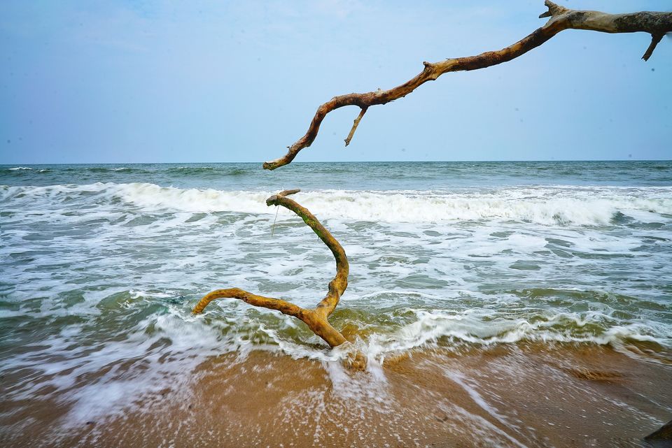Photo of Solo Trip to Pondicherry & Auroville by nobel barapatre