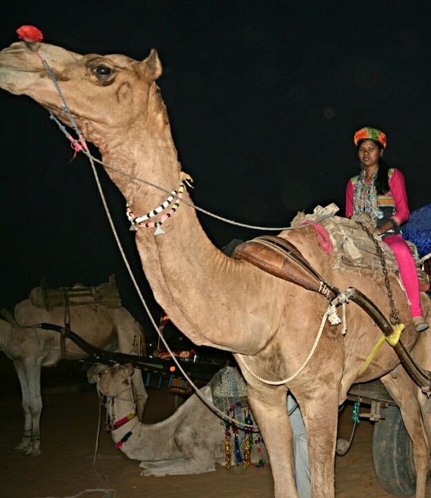 Photo of Royality of Rajasthan by Ruby Ansari