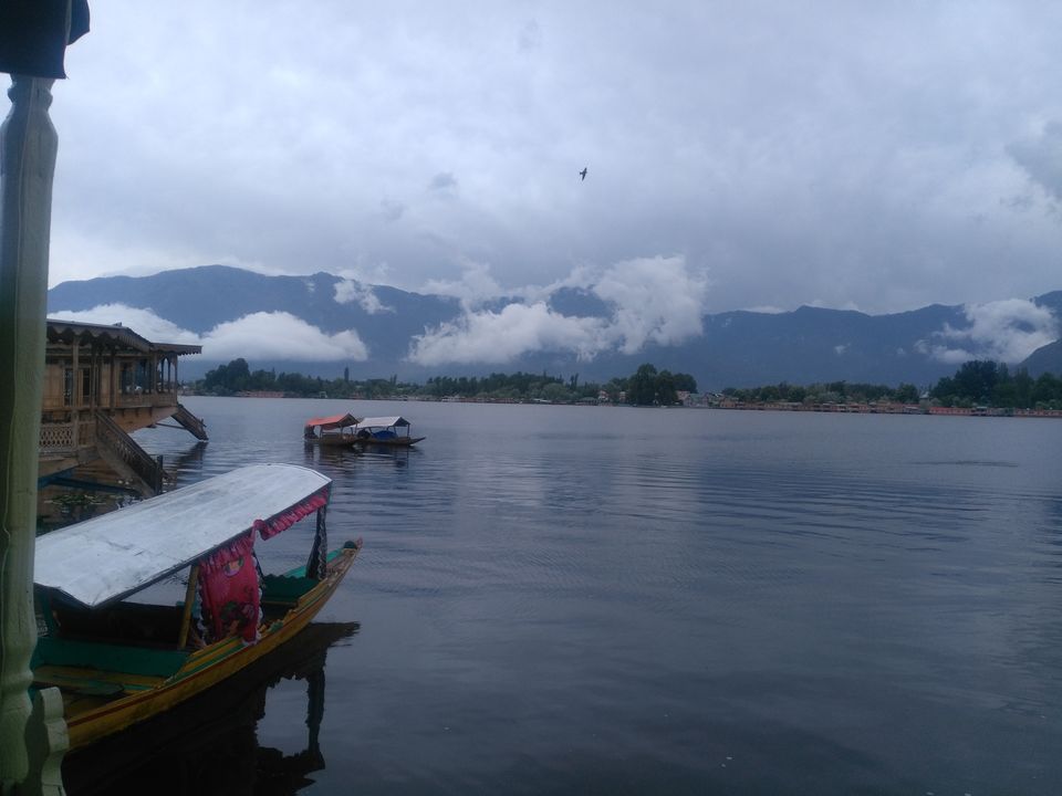 Photo of stories from the paradise... 5/7 by Reema Panchal