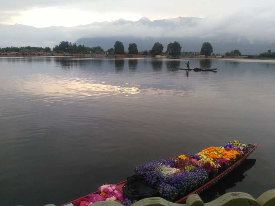 Photo of stories from the paradise... by Reema Panchal