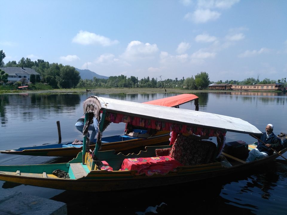 Photo of stories from the paradise... 7/7 by Reema Panchal