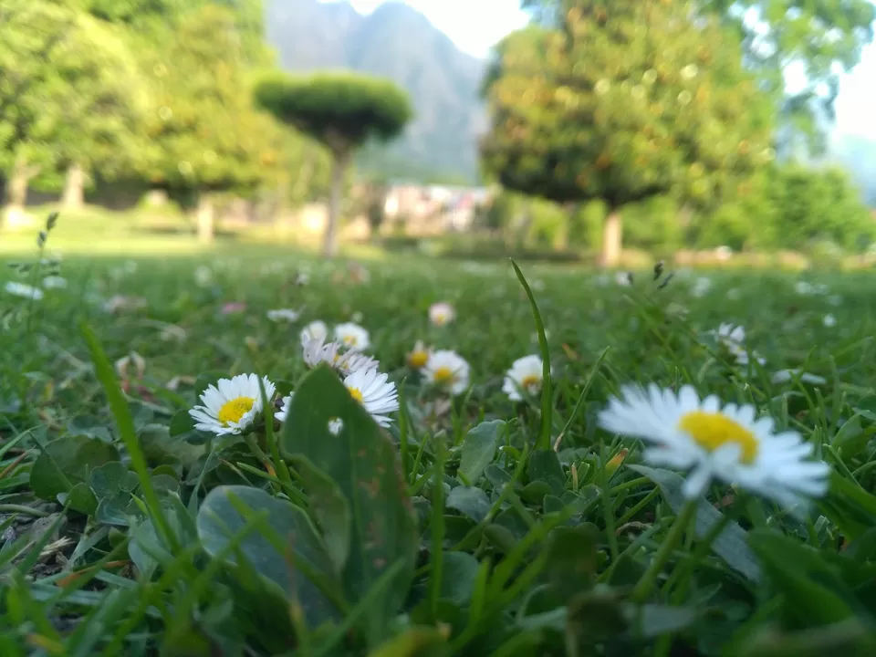 Photo of stories from the paradise... by Reema Panchal
