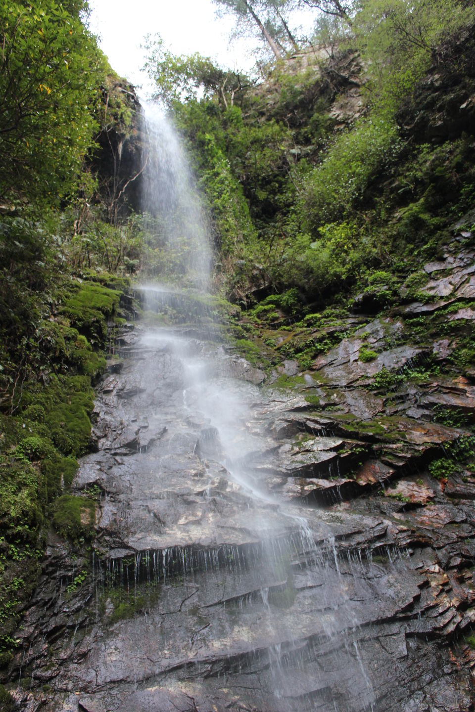 Photo of Tirthan Valley, GHNP the Natures adobe by Yogesh Kumar Dogra