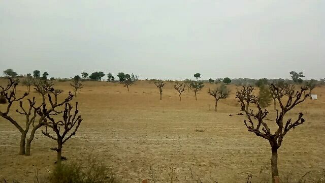Photo of Trains of Thar( a journey on sands : Bikaner to Delhi) by Ravijeet Singh Bhati