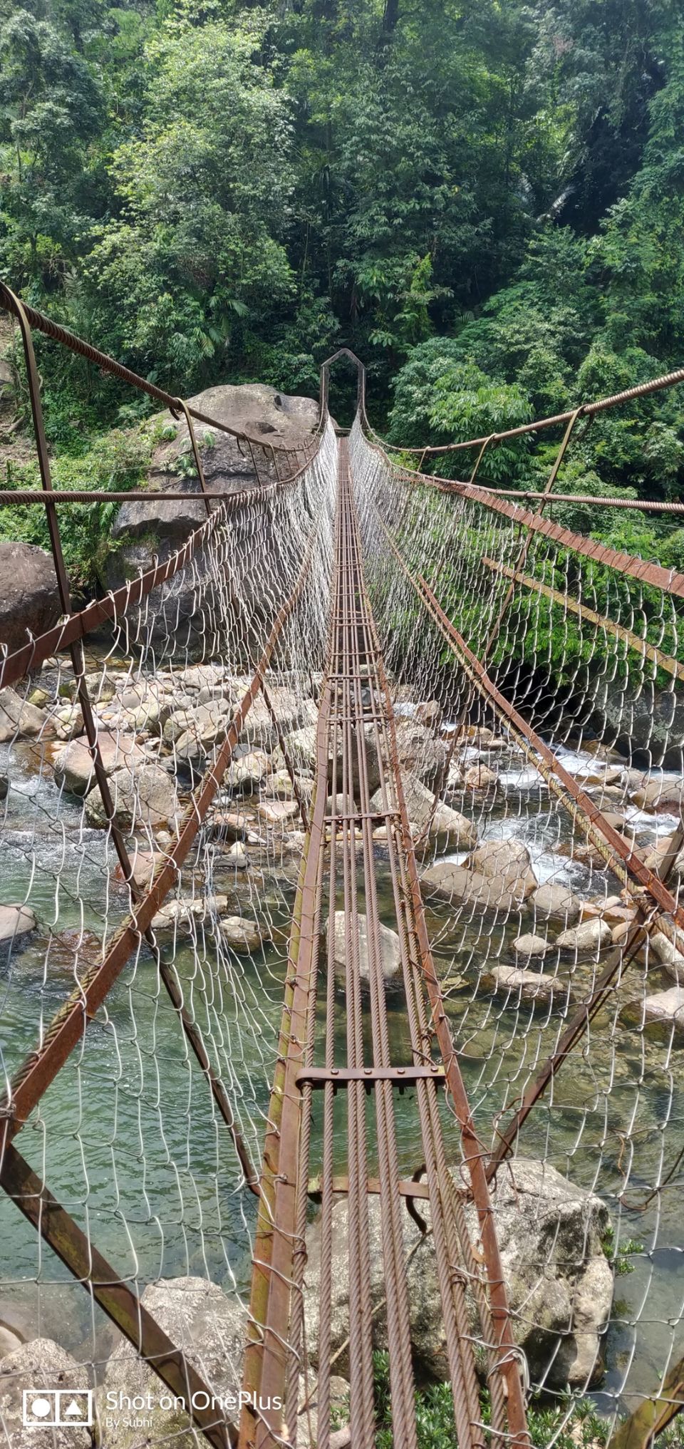 Photo of Double Decker Living Root Bridge, Cherrapunjee, Meghalaya, India by Subhi