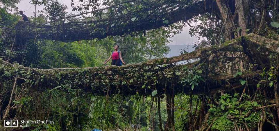 Photo of The beauty of North east #Abode of clouds#Cherrapunji#Shillong#Jaintia hills.....Meghalaya ... by Subhi