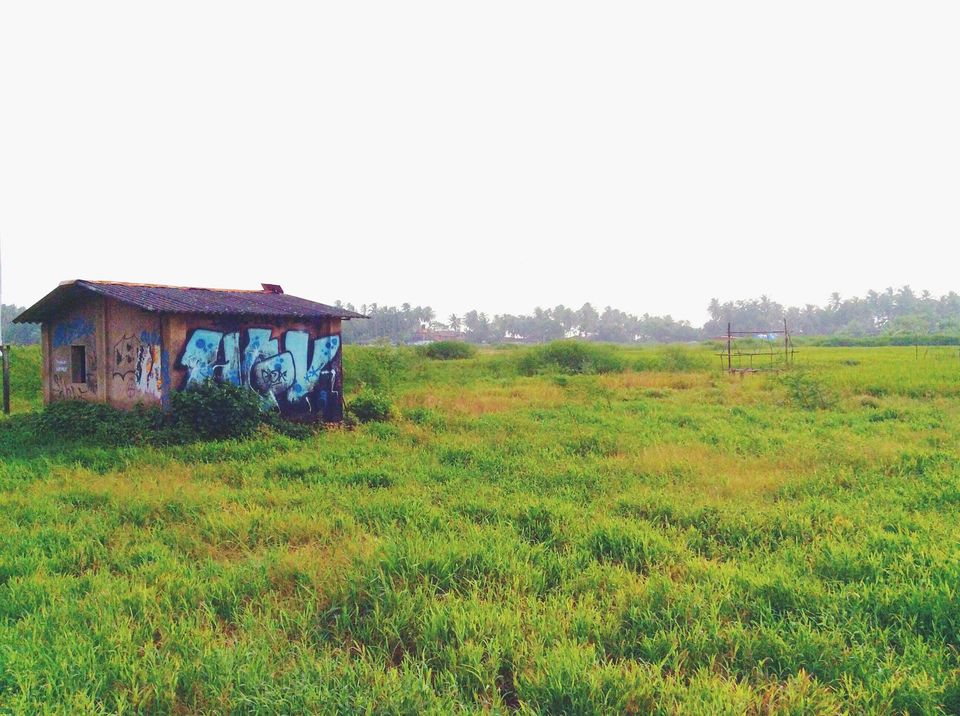 Photo of Forget sea-facing bungalows, stay in this Goa hostel for INR 499 by Fishieroll