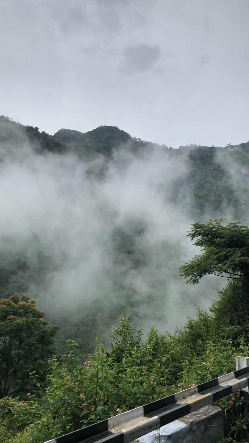 Photo of Coonoor, Tamil Nadu, India by love life and live it king size