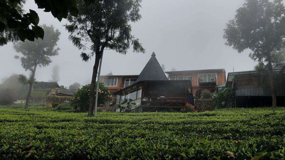 Photo of Coonoor, Tamil Nadu, India by love life and live it king size