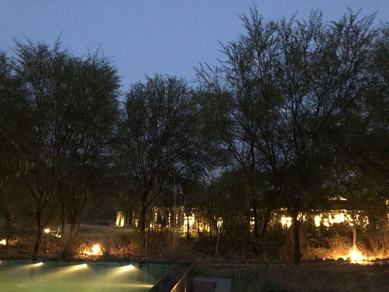 Photo of Sariska-Trees And Tiger Resort by love life and live it king size